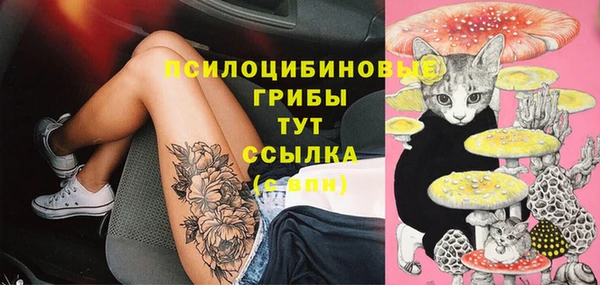 круглые Нефтекумск
