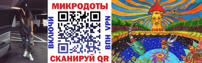 где найти   Правдинск  Галлюциногенные грибы мухоморы 